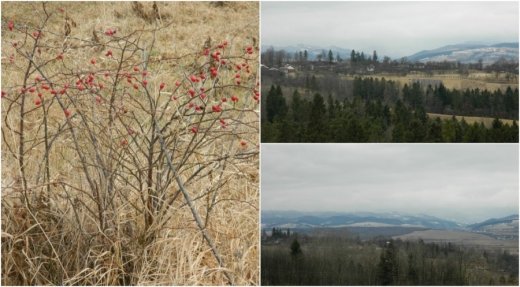 «Знаки карпатської магії» Громовиці Бердник